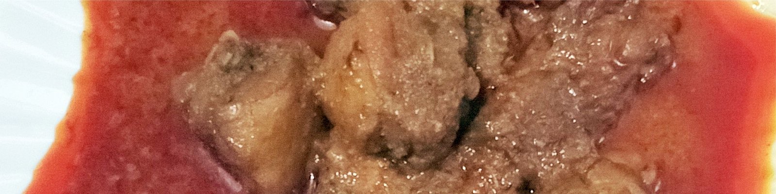 Chicken Curry Malvani